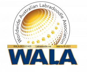 Worldwide Australian Labradoodle Association